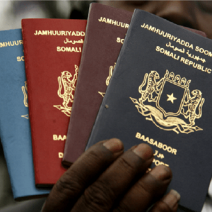 Somali government started issuing passport on 4th of December - Somali