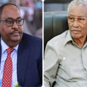 Deni appoints Aran Jaan leader Abdirahman Farole for the currency evaluation committee