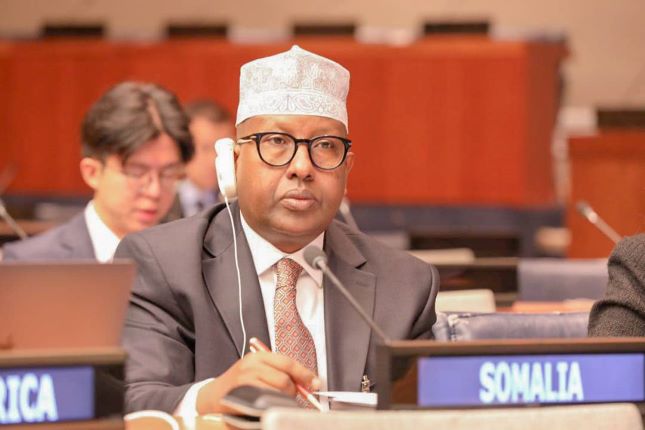 Somalia Foreign Minister Fiqi Says Ethiopia PM Abiy Ahmed Has Killed somalia-foreign-minister-fiqi-says-ethiopia-pm-abiy-ahmed-has-killed