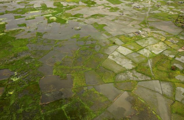 Africa facing up to $20 billion economic hit from 'super' El Niño, AfDB climate chief warns - Somali Times